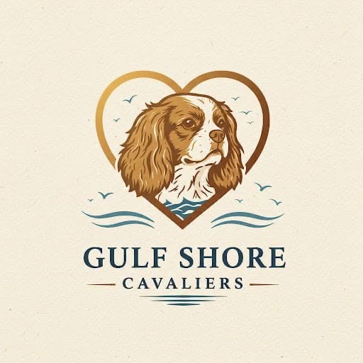 GulfshoreCavaliers